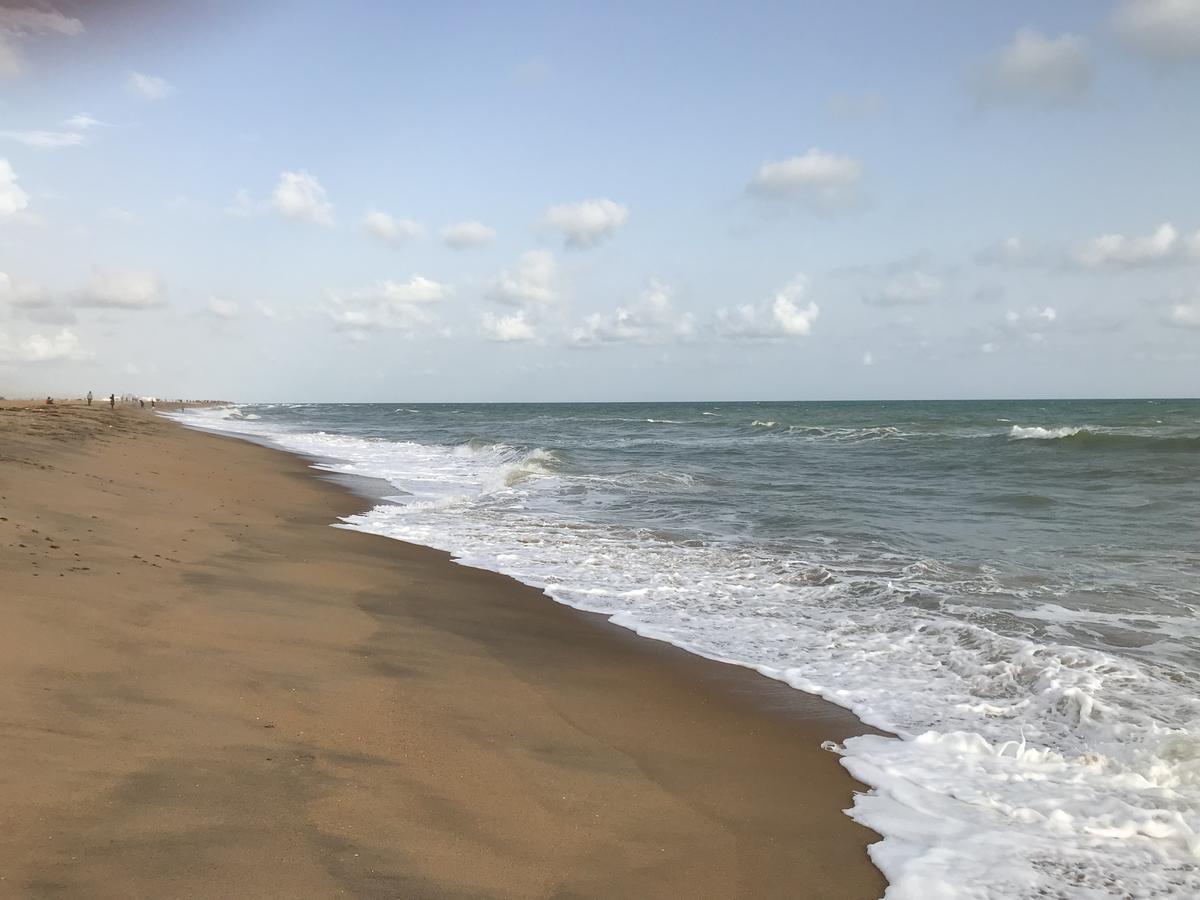 קוטונו Dodoo Lodge מראה חיצוני תמונה